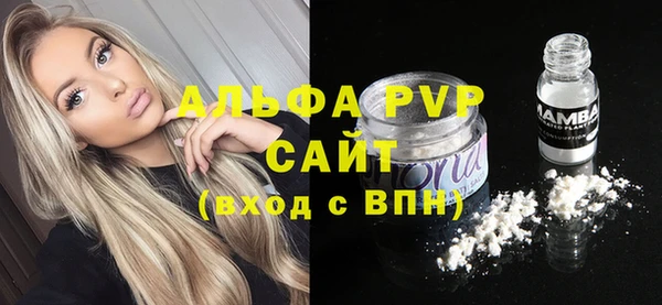 винт Тайга